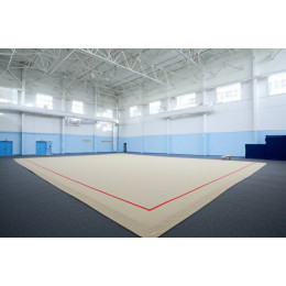 Тренировочный ковер 14х14м (гимнастический)